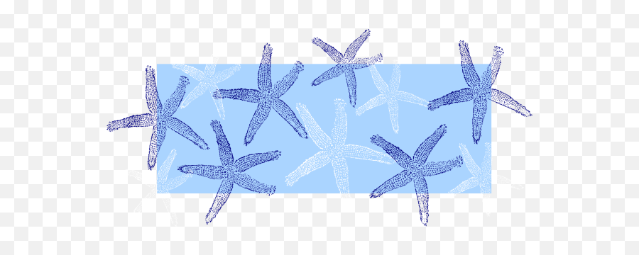 Free Starfish Clip Art 3 - Clipartingcom Clip Art Blue Seashells Emoji,Starfish Emoticon For Facebook