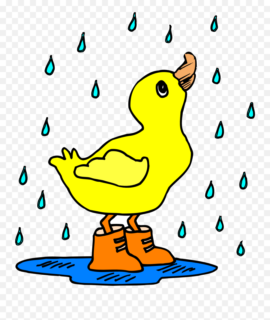 Duck In Boots In The Rain Free Image Download Emoji,Rain And Emotions