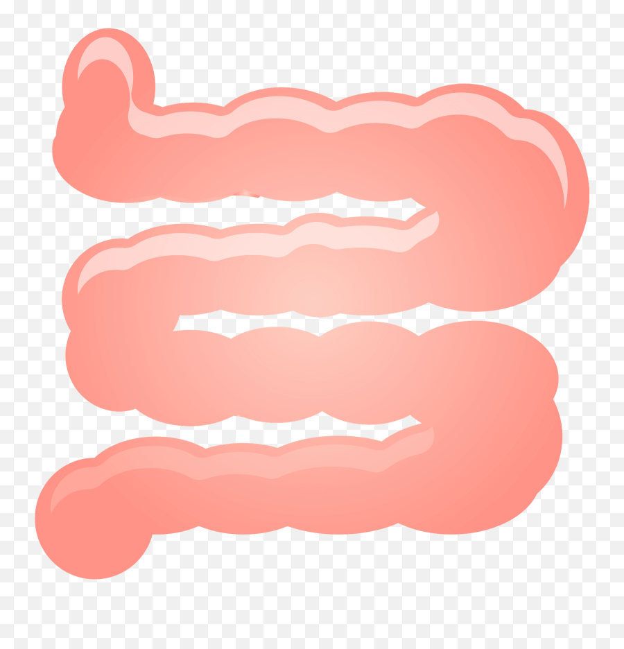 Small Intestine Clipart - Transparent Small Intestine Clipart Emoji,Constipation Emoji