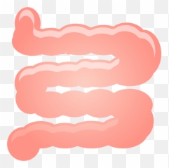 Small Intestine Clipart - Transparent Small Intestine Clipart Emoji,Constipation Emoji