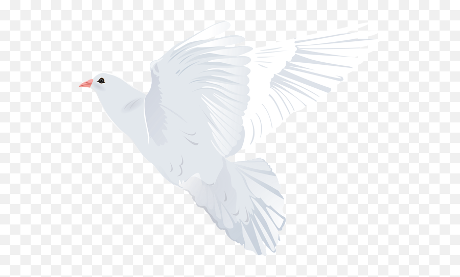 White Dove Transparent Png Clip Art - Homing Pigeon Emoji,Dove Of Peace Emoji