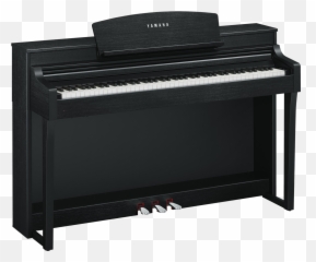 Yamaha Csp - 150 Black Walnut Piano Yamaha Clp 725 Emoji,How To Play Sweet Emotion On Bass