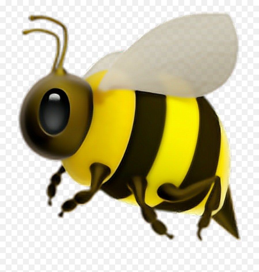 Bee Emoji Ios 11 - Bee Emoji Png,Bee Emoji Png