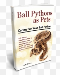 Ball Pythons Landing - Serpent Emoji,Ball Lythons Emotions