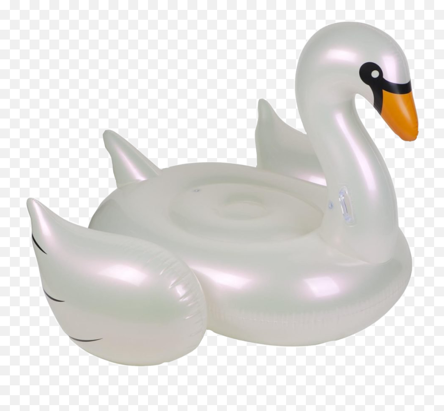 The Most Edited Float Picsart - Transparent Swan Float Png Emoji,Emoji Plastic Floaties Png