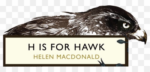 H For Hawk Emoji,Mel Robbins Feeling Emotion Vs Acting On It