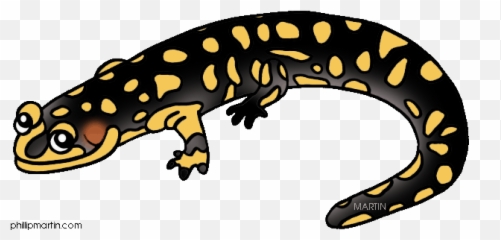 Illinois White - Clip Art Library Emoji,Salamander Emoticon