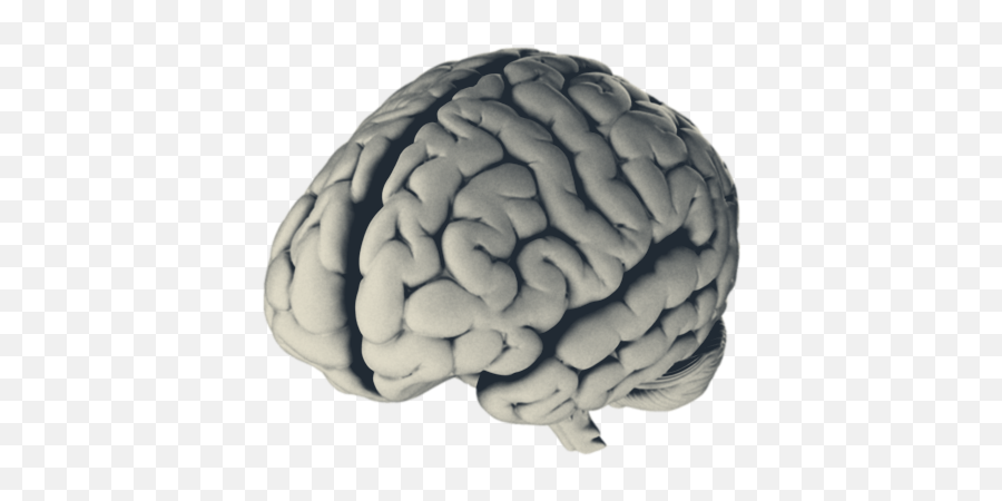 10x Gifting - Brain Emoji,Frontal Lobe Emotion