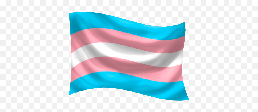 Gender Identity Pride Flags Glyphs Symbols And Icons Emoji,Trans Emoji