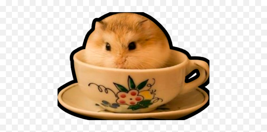 Sticker Maker - Hamsters Memes Emoji,Frightened Hamster Slack Emoji