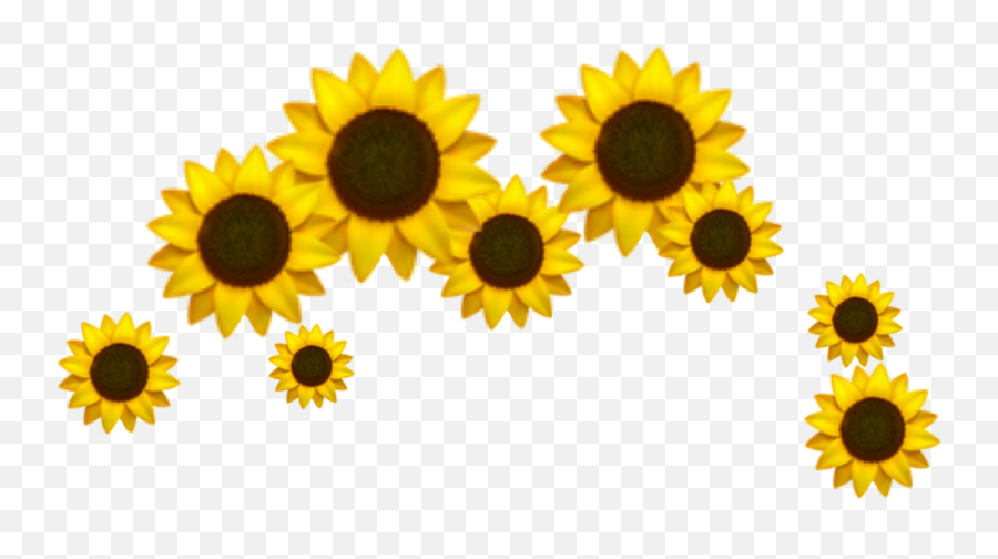 Sunflowers Emojis Crown Yellow 286433775003211 By Dexhornet,Saunflower Emoji