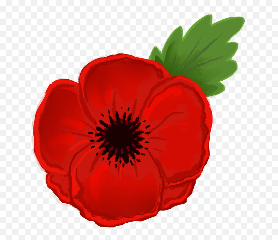 Free Red Poppy Cliparts Download Free - Poppy Clipart Emoji,Remembrance Poppy Emoji