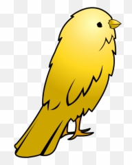 Free Transparent Big Bird Png Download - Canary Clipart Png Emoji,Big Bird Emoji