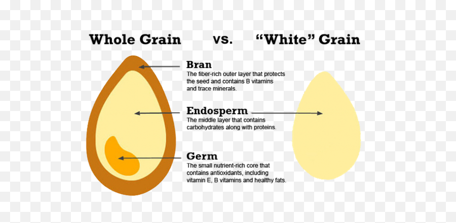 Why Is Whole Wheat Bread Healthier Than - Whole Grain Vs White Grain Emoji,Grain Bread Pasta Emojis