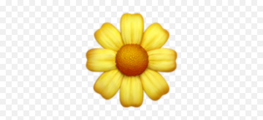 View 26 Sunflower Emoji Meaning Snapchat - Emoji Iphone Flower,Snaocjat Emoji Meaning