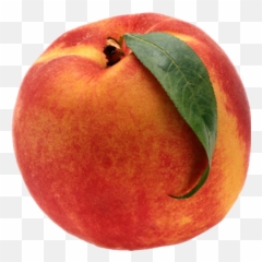 Daniel Miller Electricpeach Twitter - Perfect Peach Emoji,Griffin Mcelroy Emojis