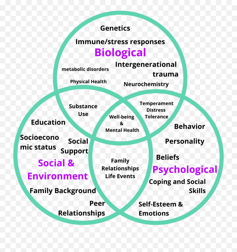 Personality Disorder Therapy - Anatomie De L Appareil Emoji,Biology Of Emotions