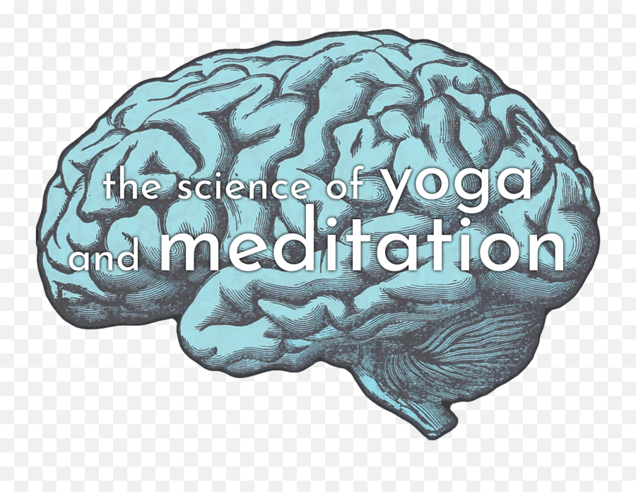 Anahata Yoga Retreat - Brain Donation Emoji,Meditation Emotions