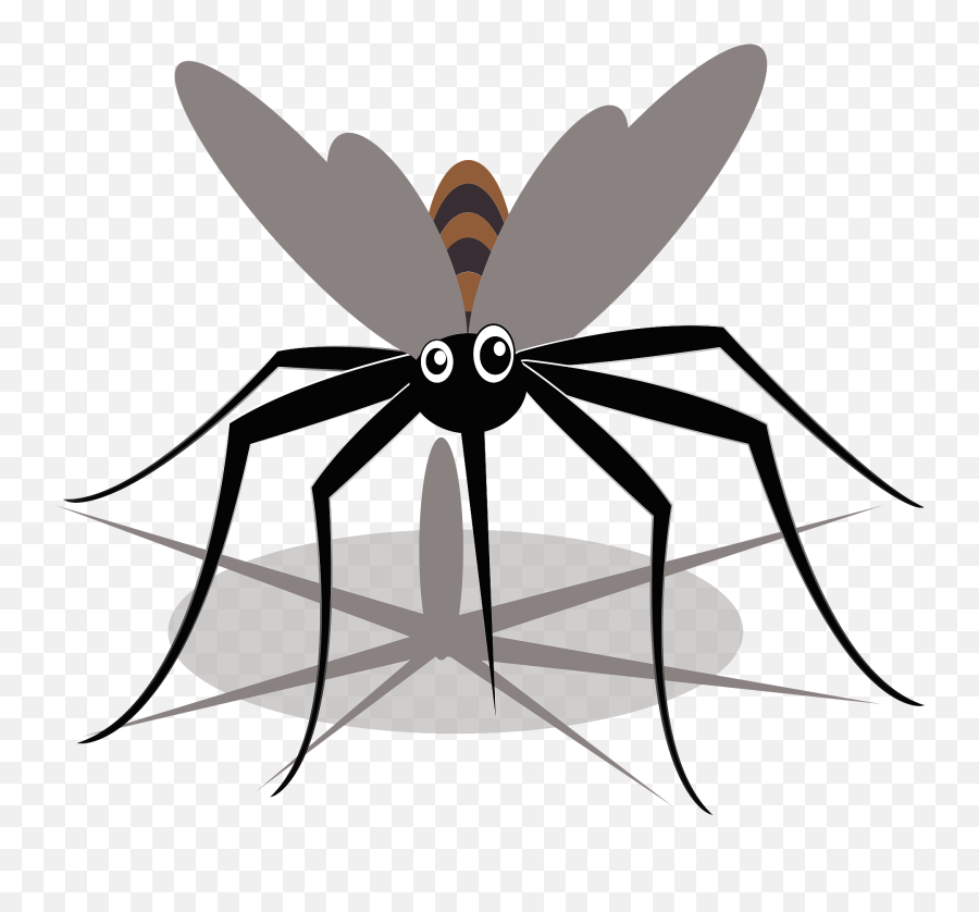 Mosquito Insect Clipart Free Download Transparent Png - Clip Art Emoji,Emojis De Pito