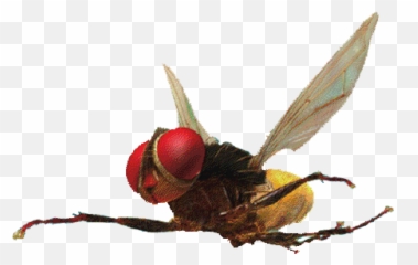 Zzzzzzz U2013 A Review Iscribble - Eega Movie Png Emoji,Movie Acting Character Emotions