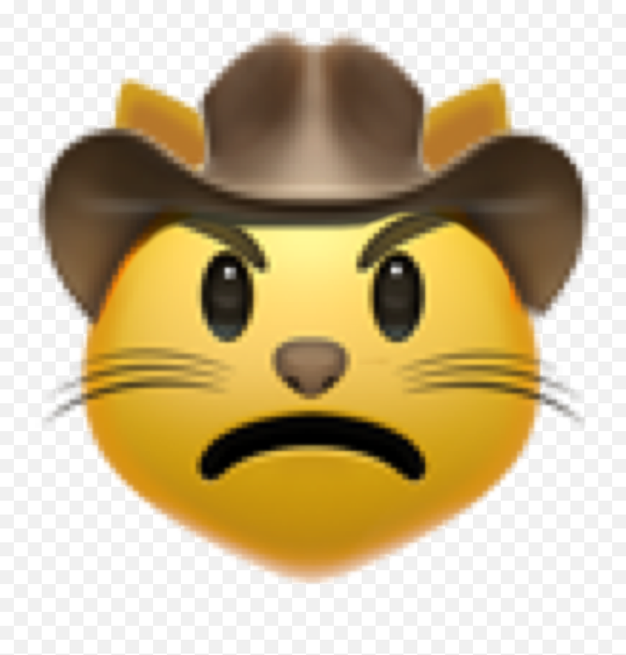Emojis Cat Cowboy Catemoji Text Sticker - Happy,Cowboy Cat Emoji