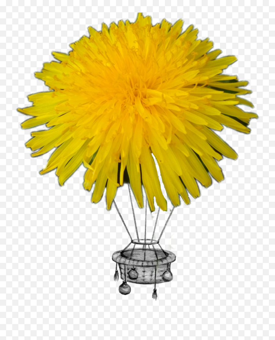 Hotairballoon Yellow Dandelion Flower - Markslöjd Sol 44 Emoji,Dandelion Emoji