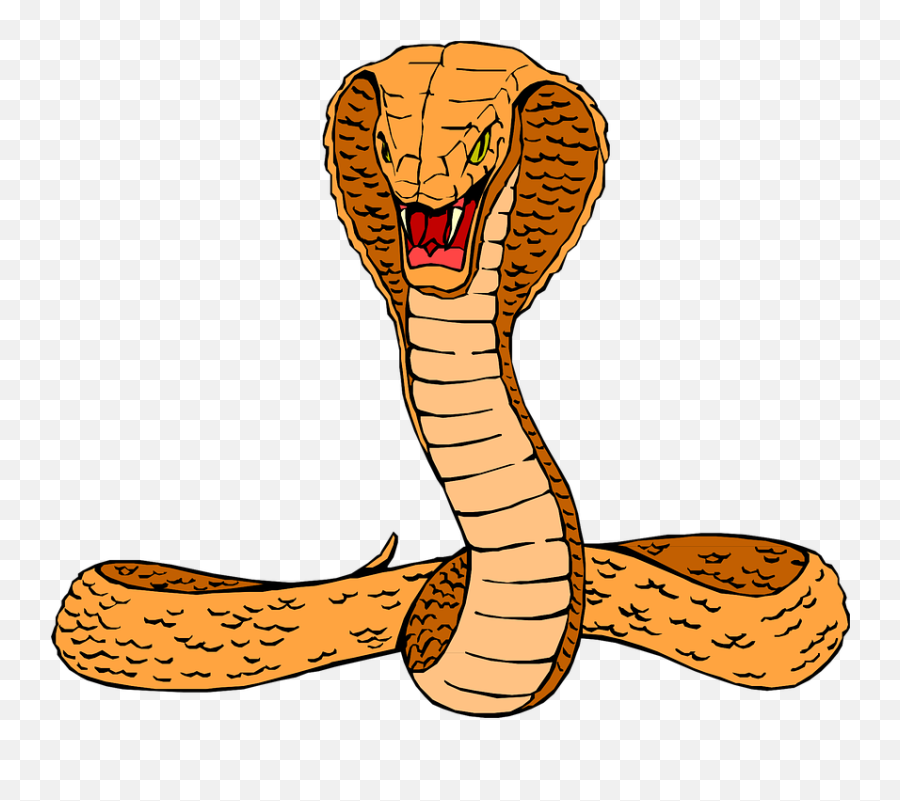 Free Photo Orange Hissing Snake Raised - Cobra Clipart Emoji,Snakes Brain Emotion