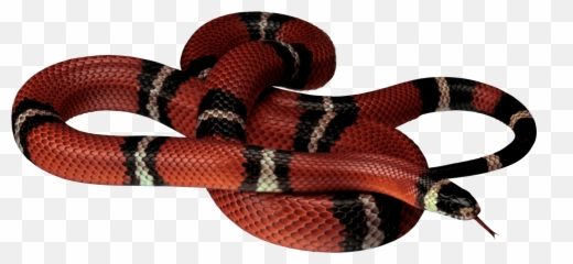 Gucci Snake Laptop Background - Snake Red Png Emoji,Sbakes Plane Emoji