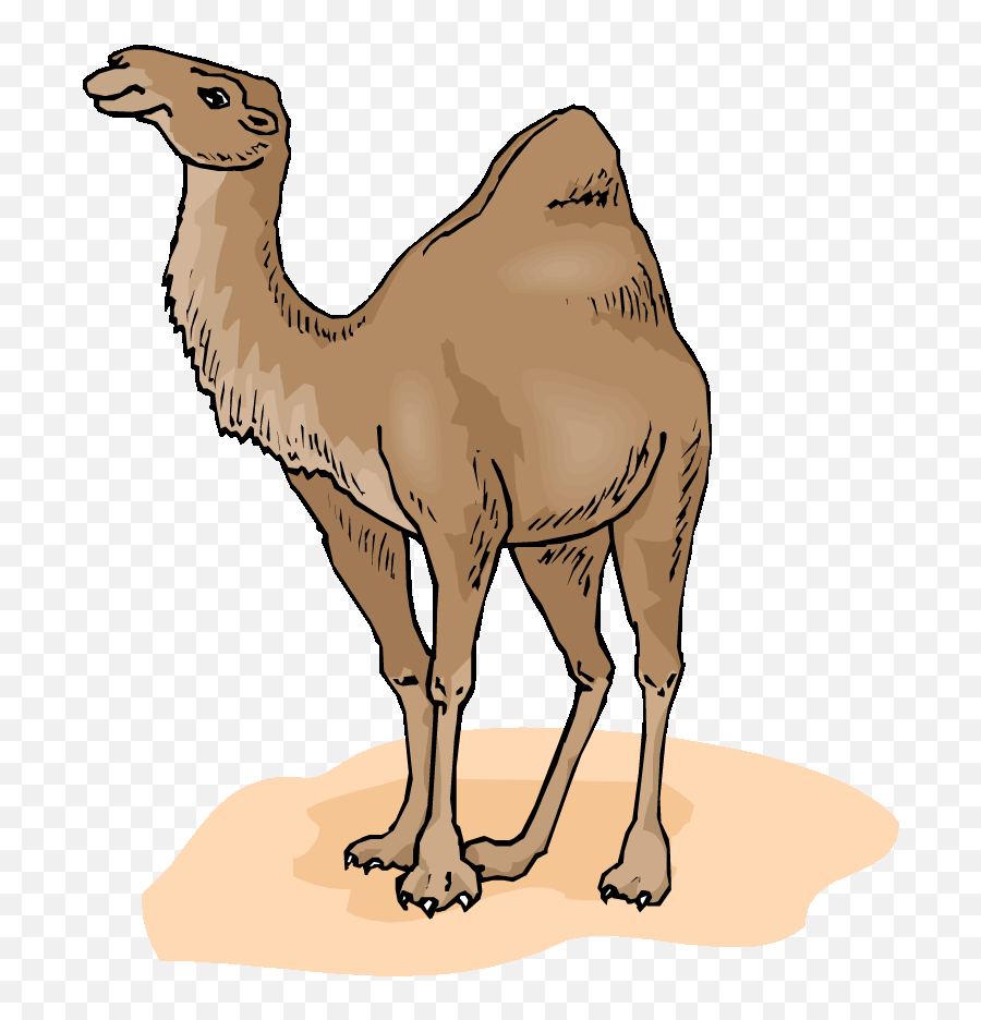 Camel Clip Art - Marco Polo Kids Activity Emoji,Camel Ride Emoticon