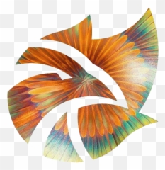 Phoenix Flame Art Emoji,Art That Is Meant To Express Emotion Aboout Phonix Az
