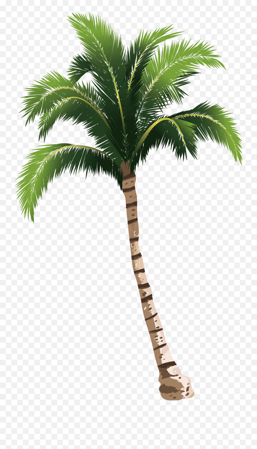 Palm Tree Png Hd - Palm Tree Png Emoji,Coconut Tree Emoticon