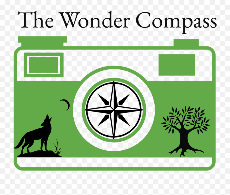 The Wonder Compass Mindful Journeys Of Art U0026 Nature - The Language Emoji,Emotions Photography Tucson