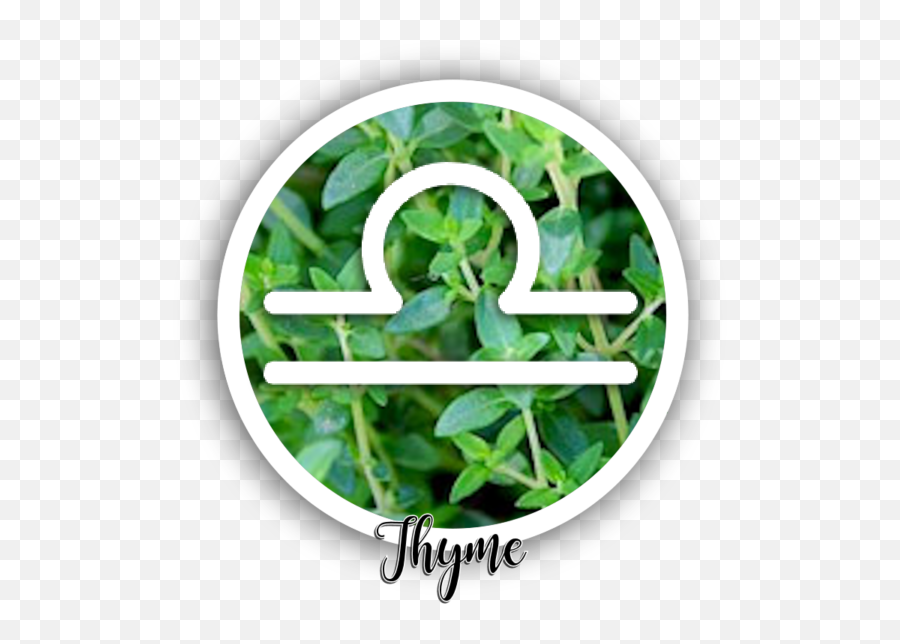 Herbal Magic U2013 Intuitive Home Solutions - Fines Herbes Emoji,Leo Feeling Piper's Emotions