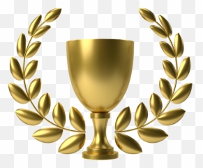 Real Estate Agents - Silver Wedding Anniversary Pillow Transparent Silver Laurel Wreath Png Emoji,Wedding Anniversary Emojis