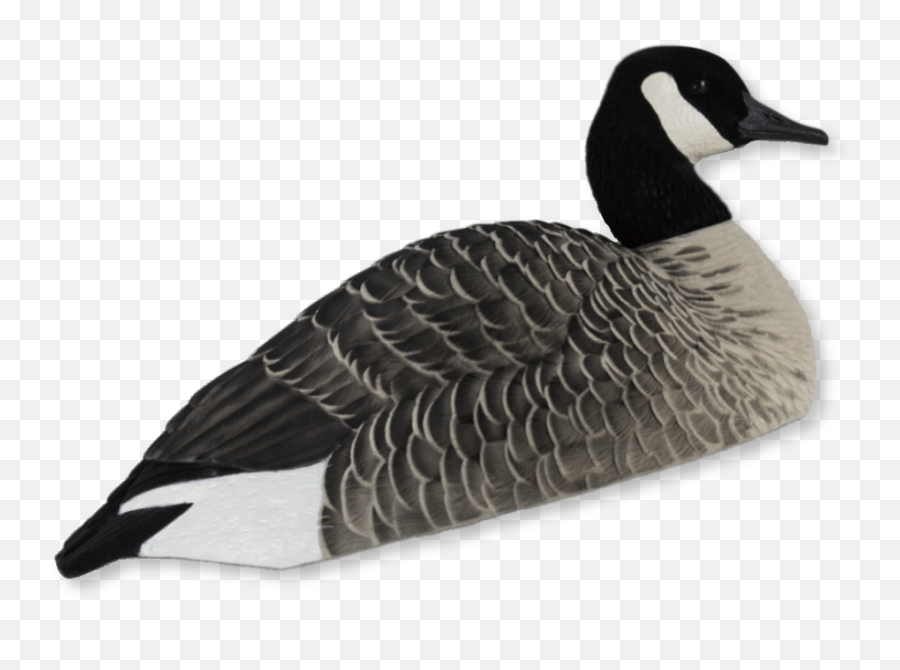 Avian Emoji,Canadian Goose Emoticon