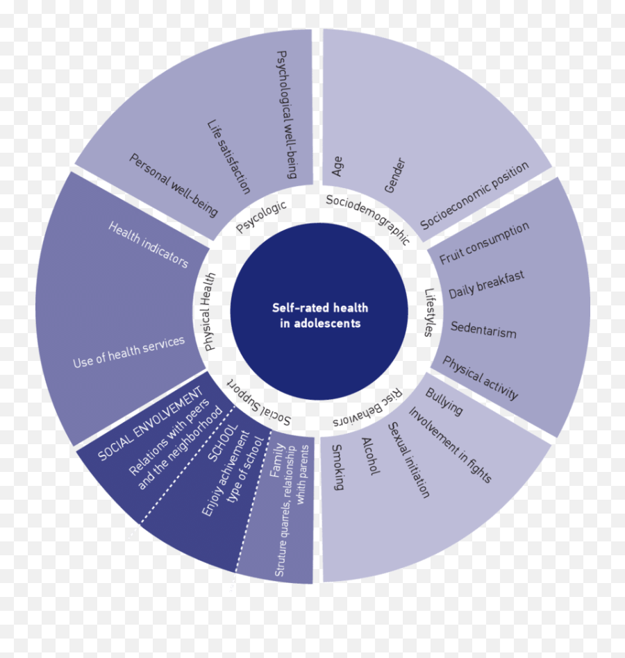 Framework Proposed For Self - Rated Health Among Adolescents Emoji,Emotions Para Pergunta