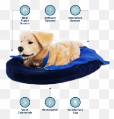 Tombot - Tombot Dog Emoji,Emotion Support Animal