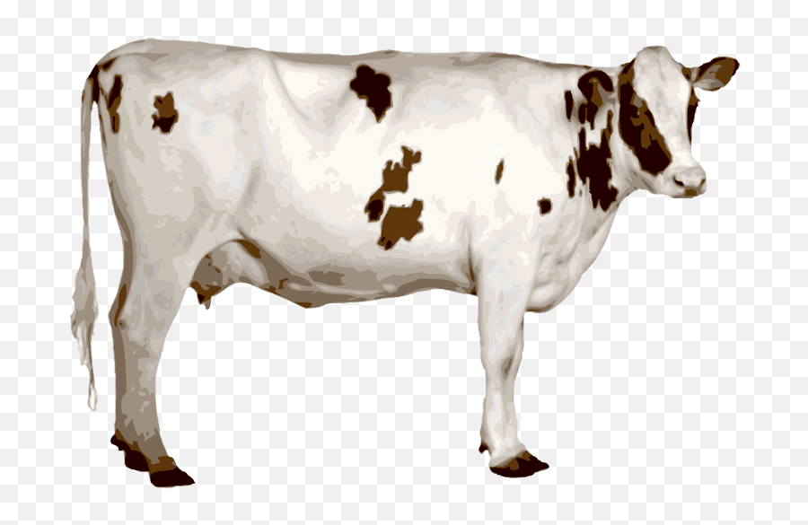 Cow Clipart Cow Indian Cow Cow Indian - Indian Cow Png Hd Emoji,Holy Cow Emoji