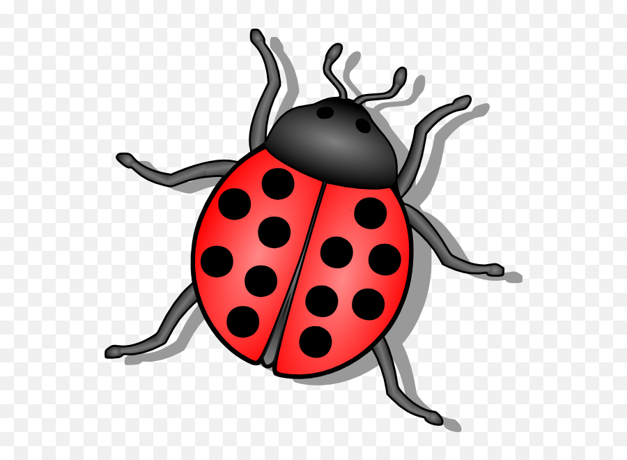 Free Animated Ladybug Clipart Download Free Clip Art Free - Insect Clip Art Emoji,Sleep Ant Ladybug Ant Emoji