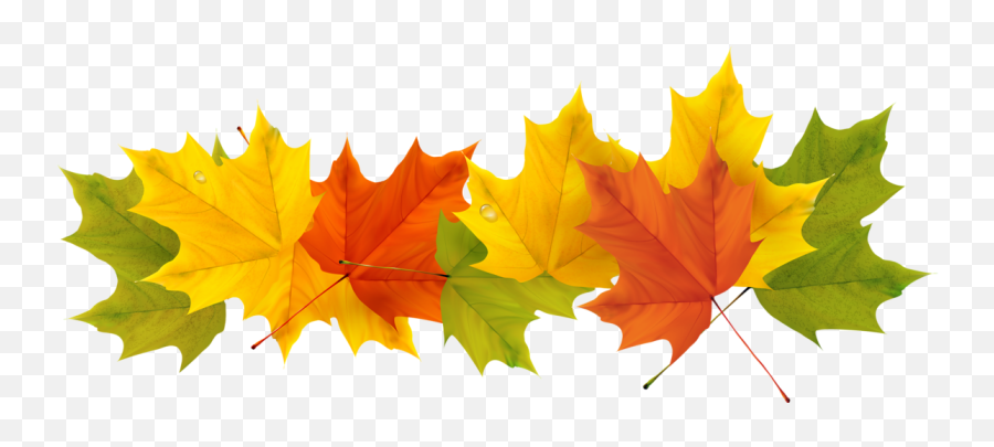 Free Leaf Png Transparent Download - Fall Cute Leaves Transparent Emoji,Fall Leave Emoji