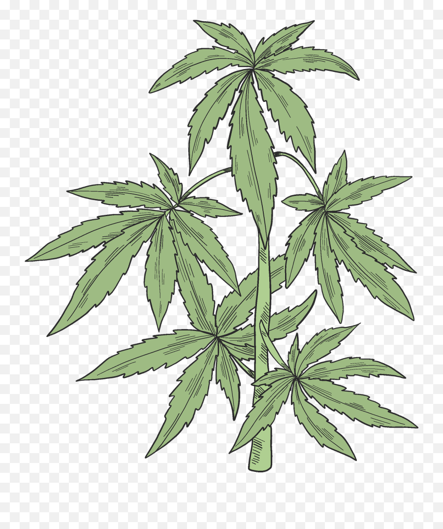 Pot Leaf Clipart Png - Check Out Our Pot Clipart Png Weed Leaf Weed Plant Clipart Emoji,Weed Emoticons For Iphone