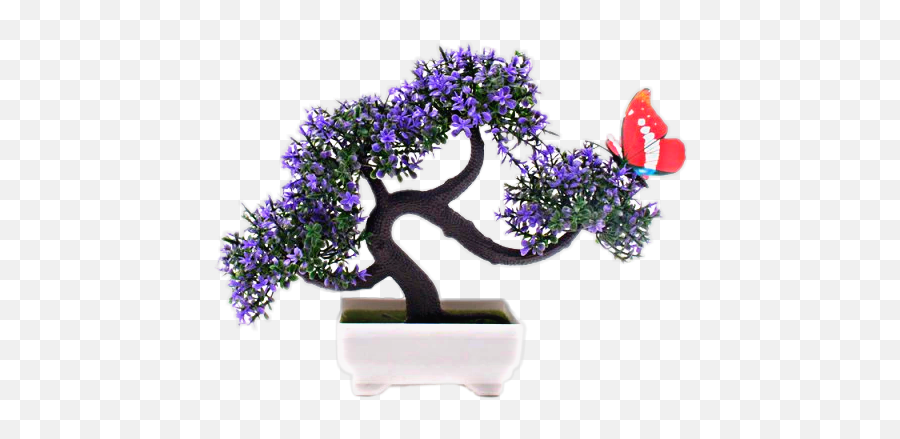 Drzewo Tree Bonsai Sticker By Darietta8177365 - Chinese Sweet Plum Emoji,Bonsai Emoji