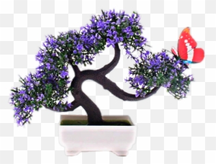 Drzewo Tree Bonsai Sticker By Darietta8177365 - Chinese Sweet Plum Emoji,Bonsai Emoji