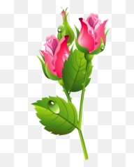 Library Of July Birth Flower Picture Library Png Files - Gif Best Friends Forever Emoji,Free 4th July Emoticons