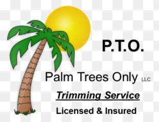 Palm Trees Only Llc - Specializing In Trees Up To 50 Feet Fresh Emoji,How To Make A Palm Tree Emoticon