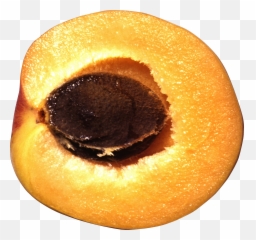 Peaches Png Image Peach Fruit Fruits And Vegetables Images - Peach Emoji,Peaches Emoji