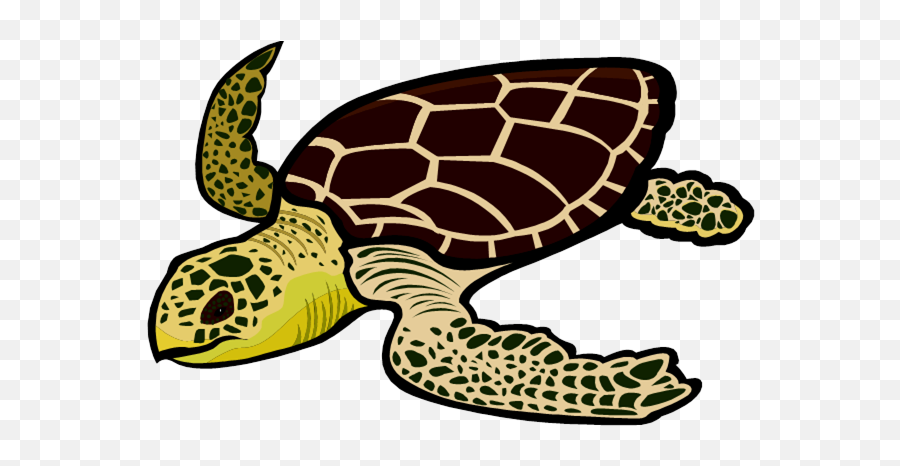 Repousseu0027 Sea Turtle - The Great Outtours Sea Turtle Information Poster Emoji,Official Turtle Emoji