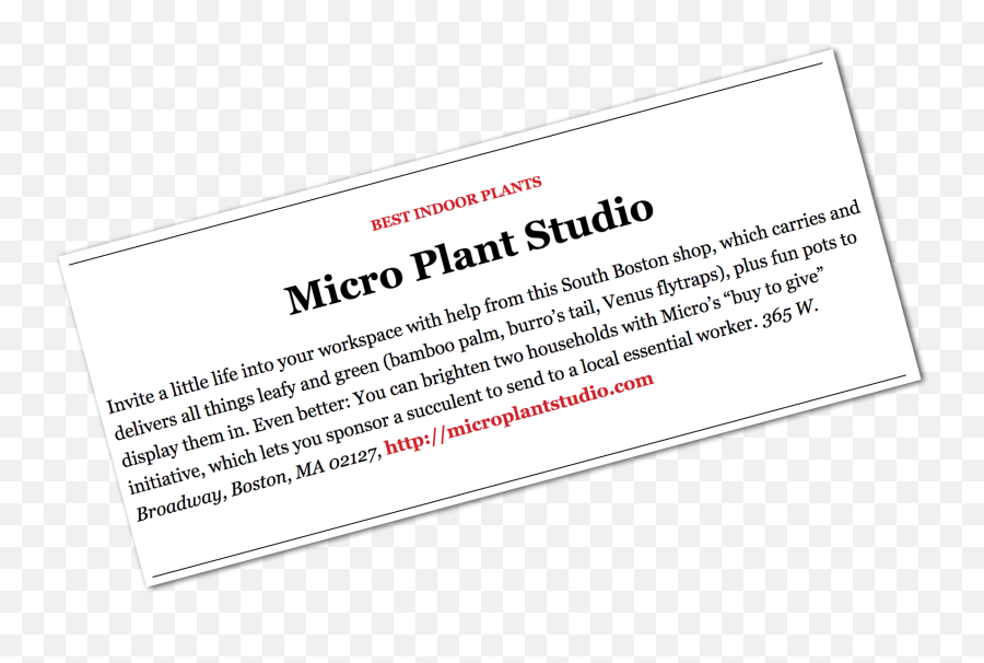 Micro Plant Studio - Dot Emoji,Plant Emotions Mythbusters
