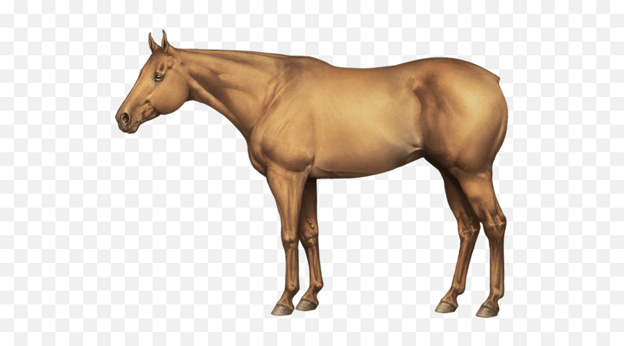 Equinepassion Browsergame - Equine Passion Quarter Emoji,Horse And Plane Emoji Roblox