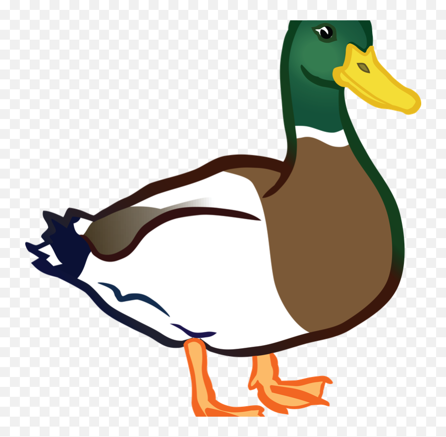 Page - Duck Png Clipart Emoji,Duck Emoji No Background